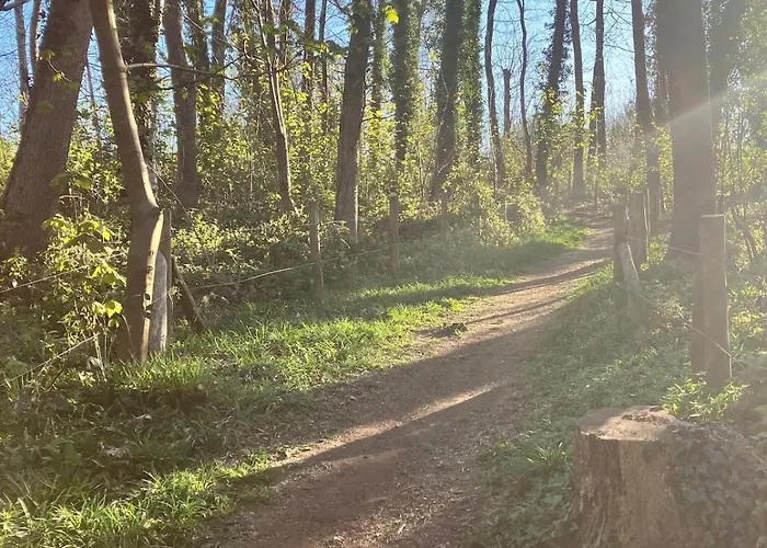 Apartment La Cachette Verte